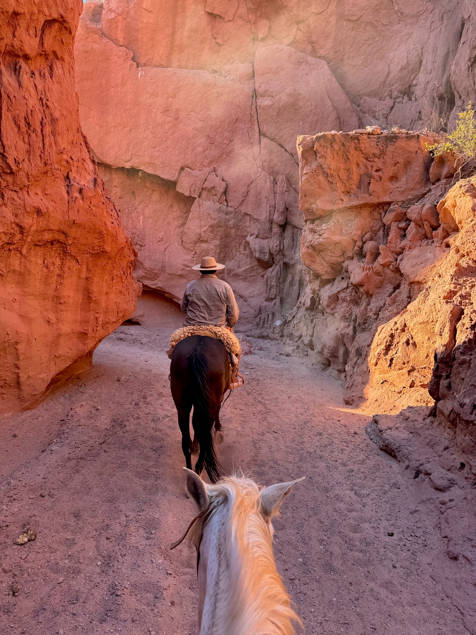 Expérience de voyage à cheval dans un canyon