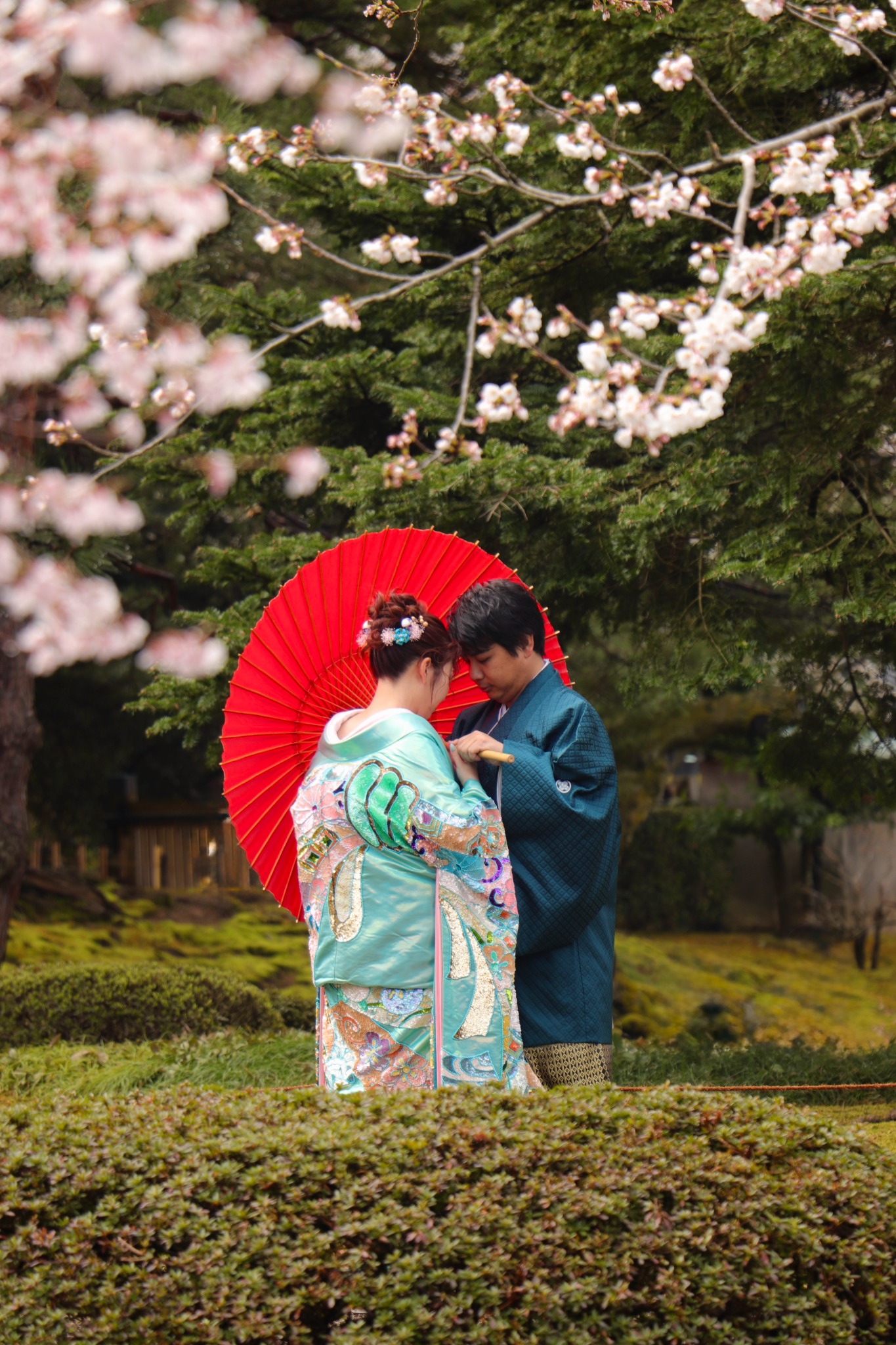 Japon