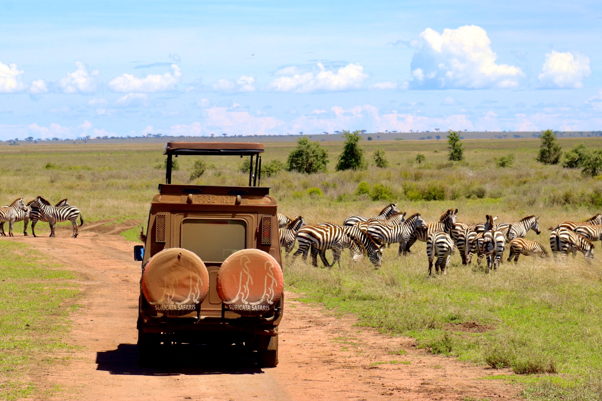 Safari en Tanzanie